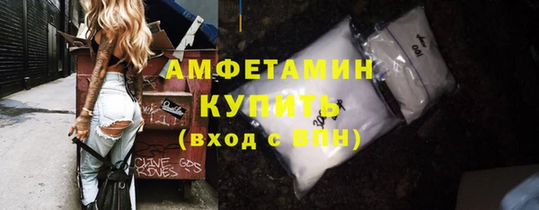 индика Богородск