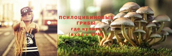 индика Богородск