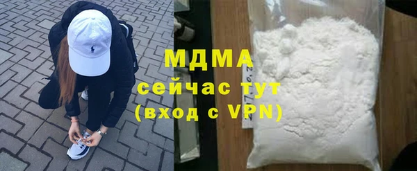 индика Богородск