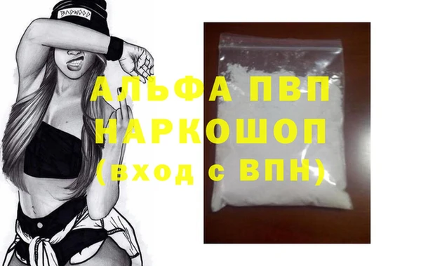 индика Богородск