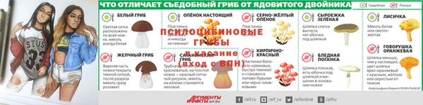 гидропоника Богородицк
