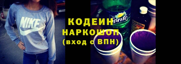 индика Богородск