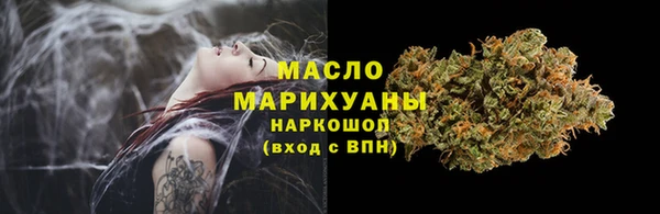 индика Богородск