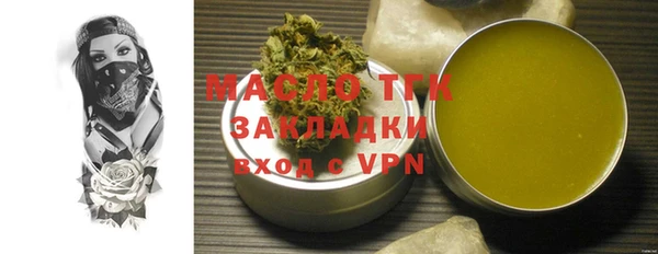 индика Богородск