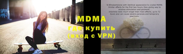 индика Богородск