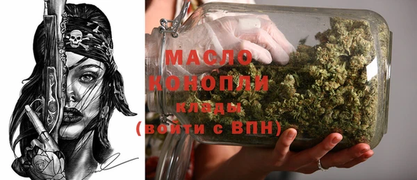 индика Богородск