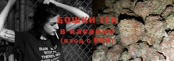 индика Богородск