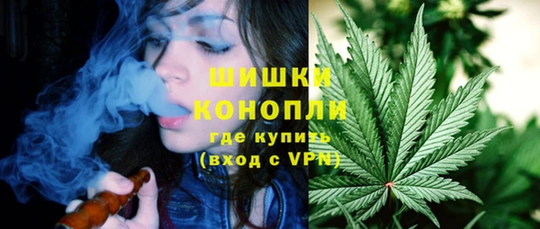гидропоника Богородицк