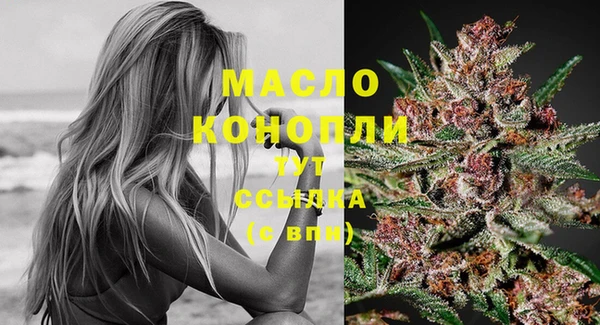 индика Богородск