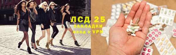 индика Богородск
