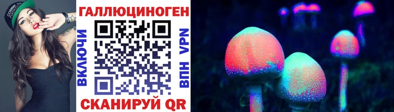 KRAKEN ТОР  Болотное  Псилоцибиновые грибы Psilocybe  как найти  